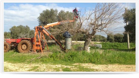 Aerial platforms - D’Amico Officine Ostuni